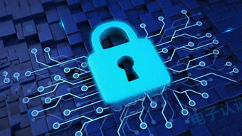 科蓝获颁电子政务电子认证服务牌照，全面布局电子政务市场